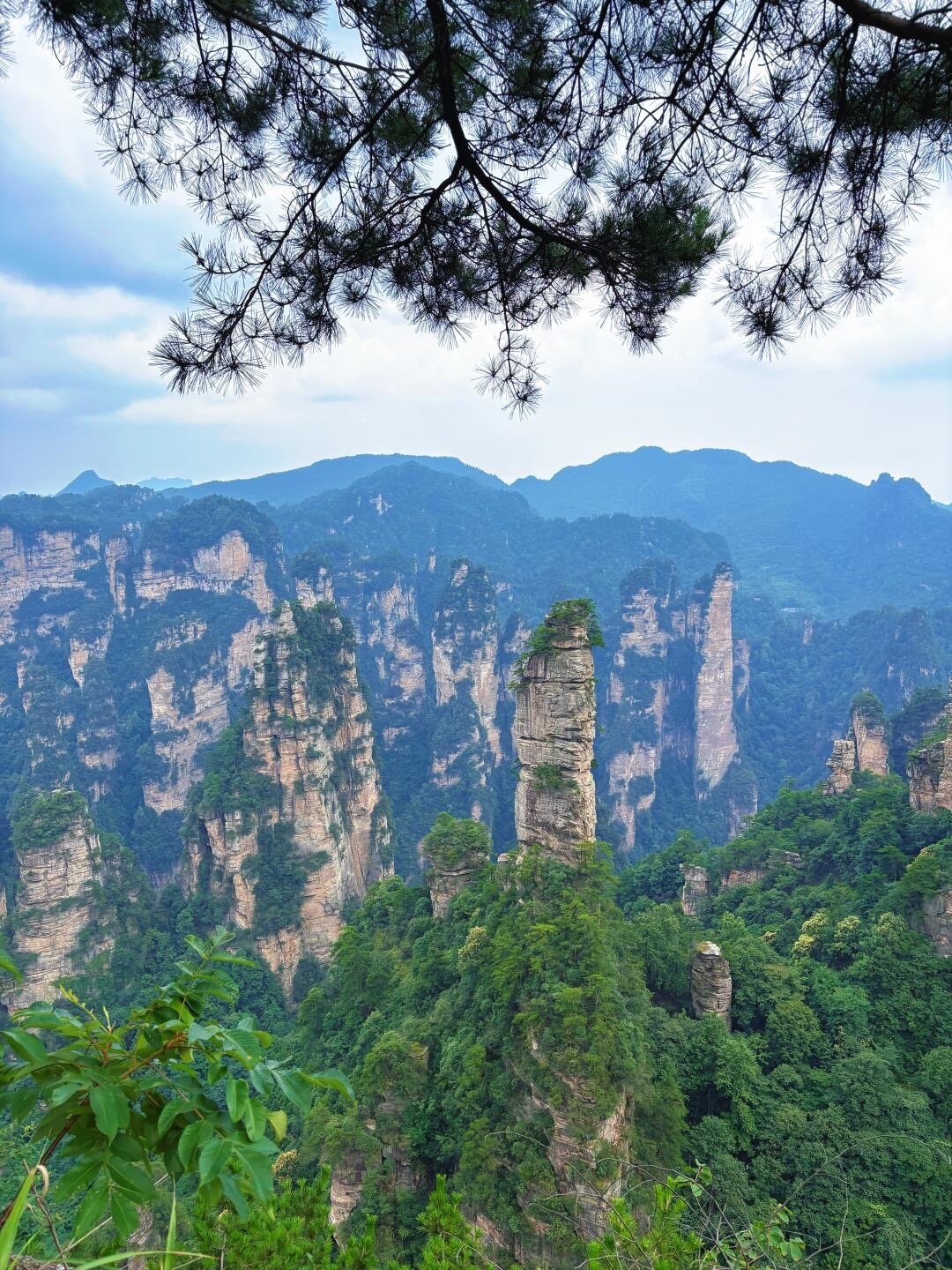 🌳张家界国家森林公园超全攻略| 绝美仙境_12_Simona_来自小红书网页版