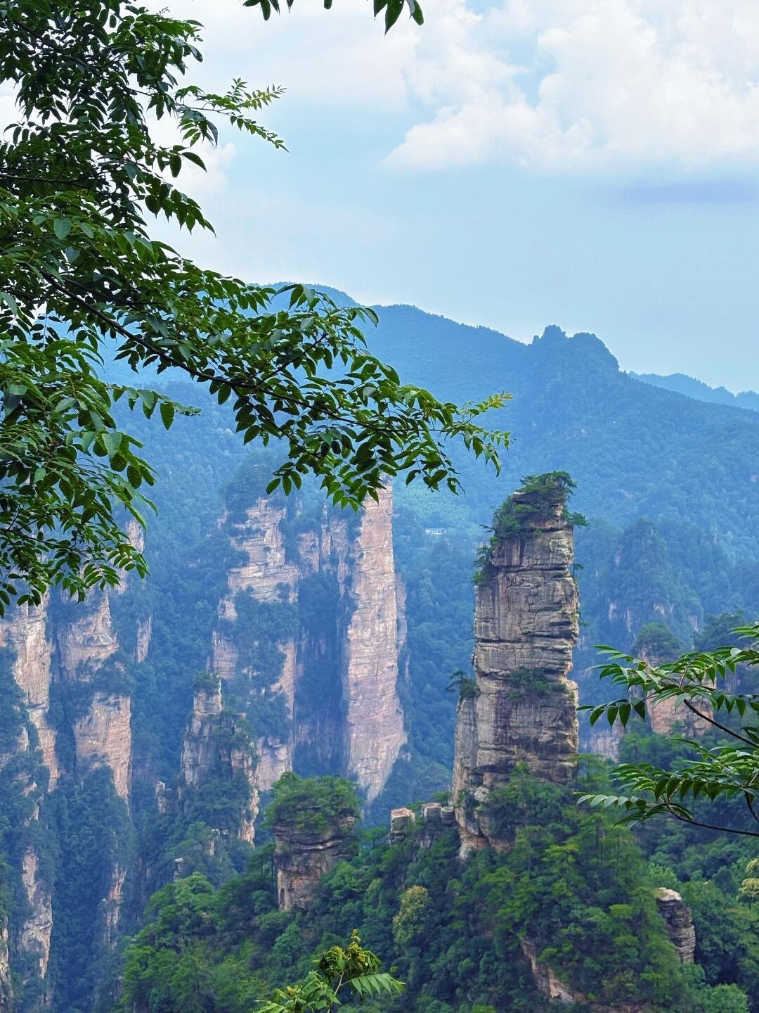 🌳张家界国家森林公园超全攻略| 绝美仙境_2_Simona_来自小红书网页版