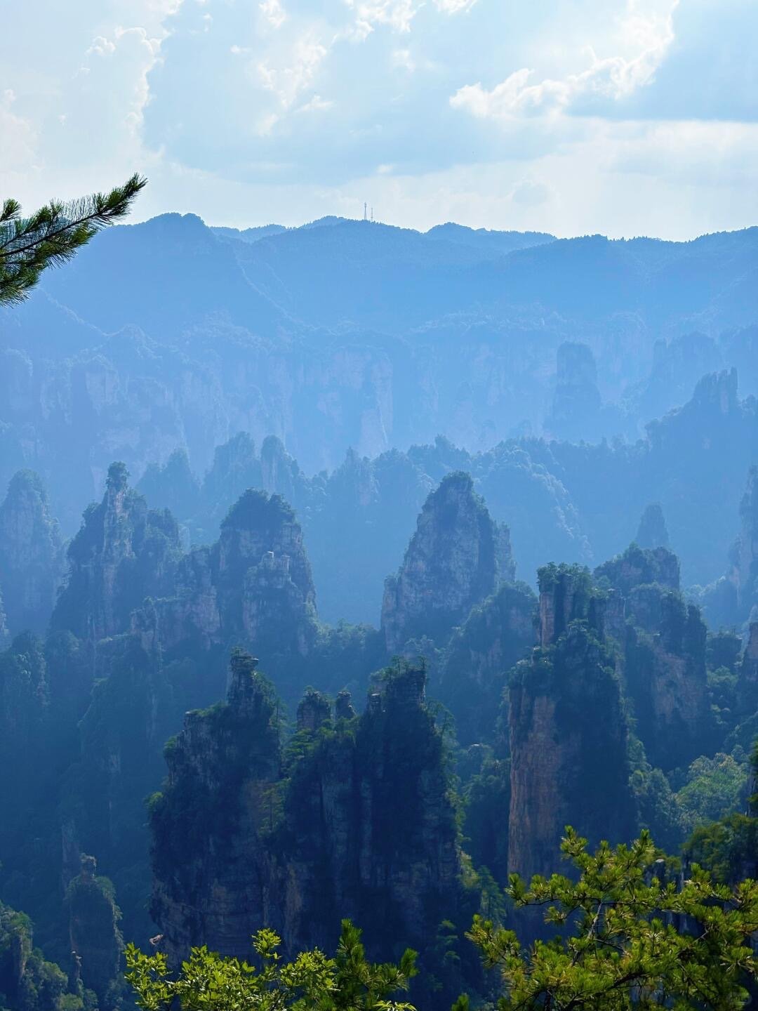 🌳张家界国家森林公园超全攻略| 绝美仙境_5_Simona_来自小红书网页版
