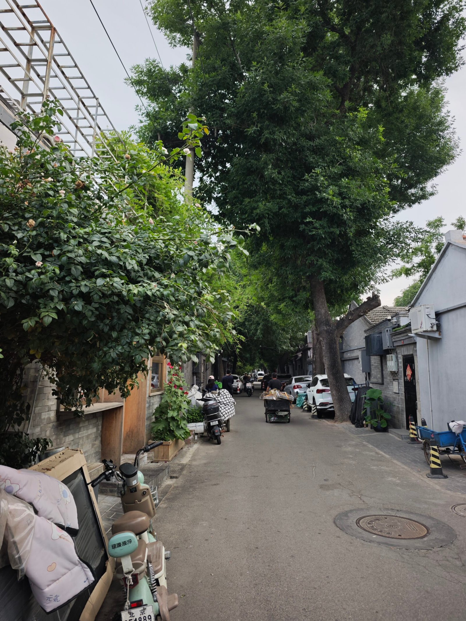 微信图片_20260623161333_121_48
