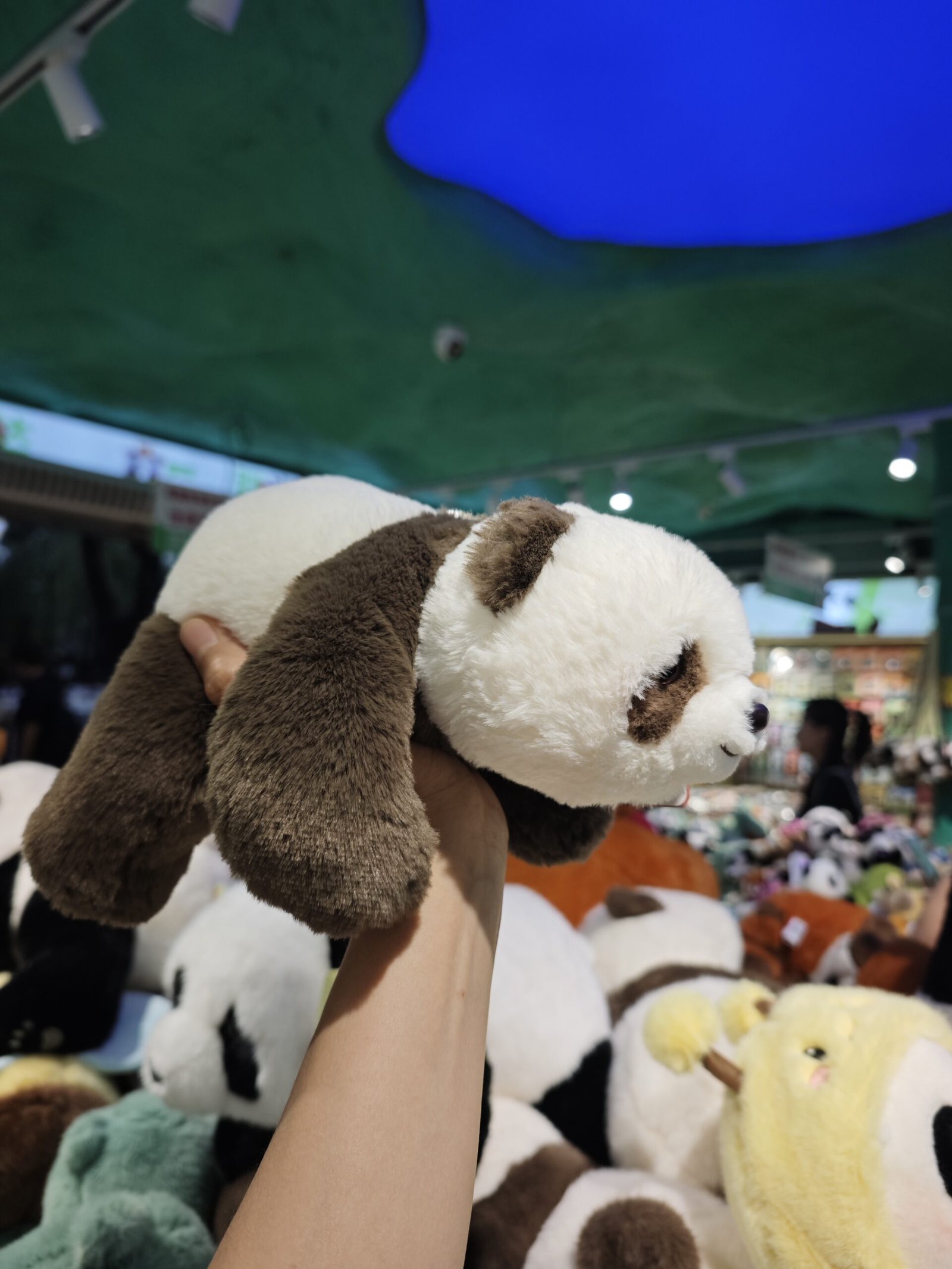 微信图片_20260623161836_124_48