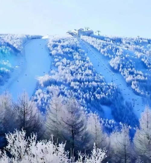 亚布力 冰雪世界的仙境_12_安迪日记_来自小红书网页版