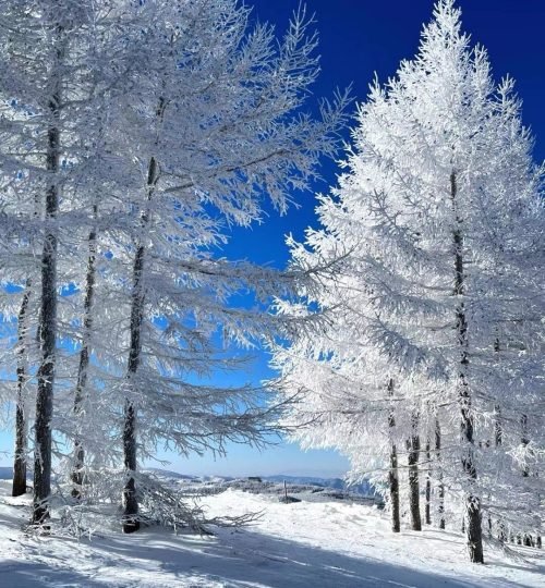 亚布力 冰雪世界的仙境_1_安迪日记_来自小红书网页版