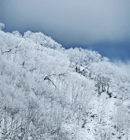 亚布力 冰雪世界的仙境_3_安迪日记_来自小红书网页版