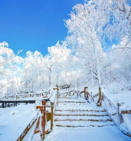 亚布力 冰雪世界的仙境_5_安迪日记_来自小红书网页版